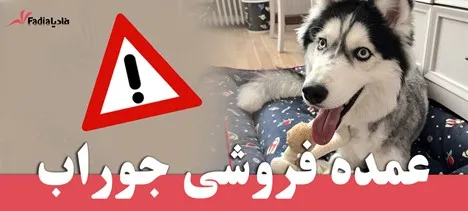 خطرات جانبی جوراب